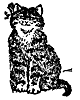 cat_16988_th.gif