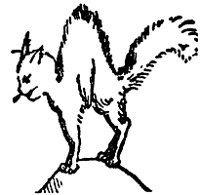 cat_16997_sm.gif