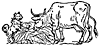 cow_dog_16999_th.gif