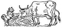 cow_dog_16999_md.gif
