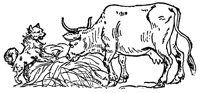cow_dog_16999_lg.gif