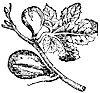 fig_1_th.gif