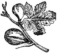fig_1_lg.gif
