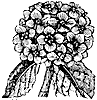hydrangea_1_th.gif