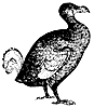 dodo_1_th.gif