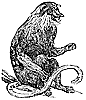 proboscis-monkey_1_th.gif
