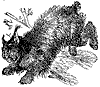 canada-lynx_1_th.gif