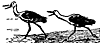 birds_17003_th.gif