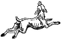 dog_17008_sm.gif