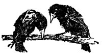 blackbirds_17023_lg.gif