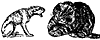 cat_dog_17024_th.gif