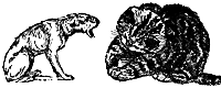 cat_dog_17024_sm.gif