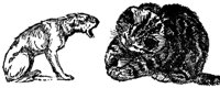 cat_dog_17024_md.gif