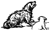 dogs_17031_sm.gif