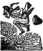 newington_17036_th.gif