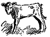 cow_17044_th.gif
