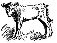 cow_17044_sm.gif