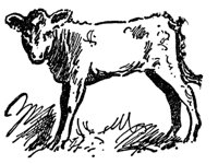 cow_17044_md.gif