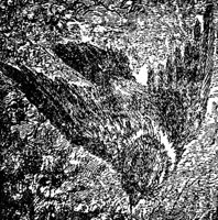 chicks_17050_md.gif