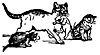 cats_17051_th.gif
