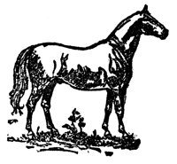 horse_17054_lg.gif