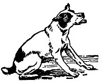 dog_17055_sm.gif