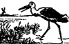 bird_17057_th.gif