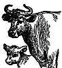 cow_calf_17059_th.gif