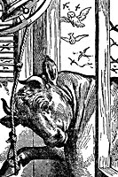 bull_17060_sm.gif