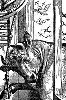 bull_17060_md.gif
