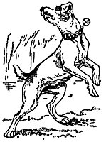 dog_17066_sm.gif