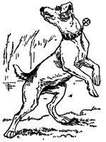 dog_17066_lg.gif