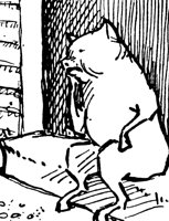 5pigs5_17081_lg.gif