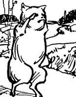 5pigs6_17082_lg.gif
