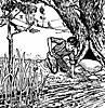 hop_17117_th.gif