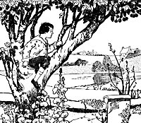 foreign_17120_sm.gif