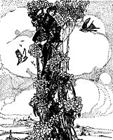 jack_bean_17124_sm.gif
