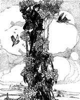 jack_bean_17124_lg.gif