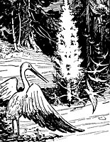 fir_tree_17163_sm.gif