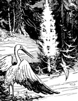 fir_tree_17163_md.gif