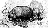 swiss3_17225_th.gif