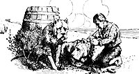 swiss7_17229_sm.gif