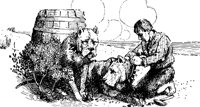 swiss7_17229_lg.gif