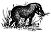 swiss10_17232_th.gif