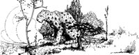 swiss11_17233_md.gif