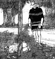 robin3_17254_md.gif