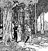 robin7_17258_th.gif