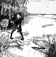 baron2_17298_lg.gif