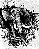 elephant_17341_th.gif