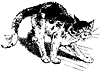 cat_17588_th.gif